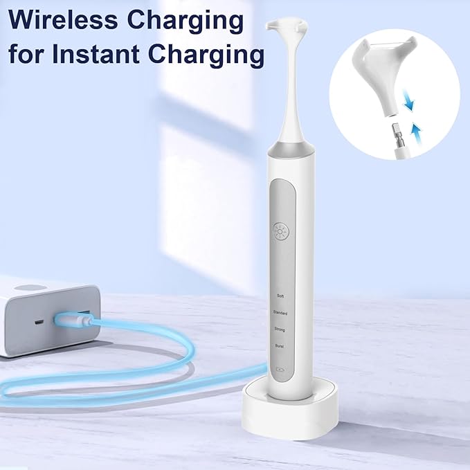 Electric Flosser with Replaceable Floss Picks (0.35 Foot (Pack of 1))