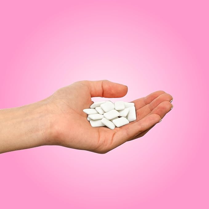 PUR Gum | Aspartame Free Chewing Gum | 100% Xylitol | Natural Bubblegum Flavored Gum, 55 Pieces (Pack of 1)