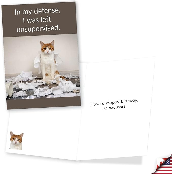 NobleWorks Assorted 3 Pack of Humorous Cool Cats Birthday Greeting Cards with 5 x 7 Inch Envelopes (3 Designs, 1 Each) Funny Felines VC2809BDG-C1x3