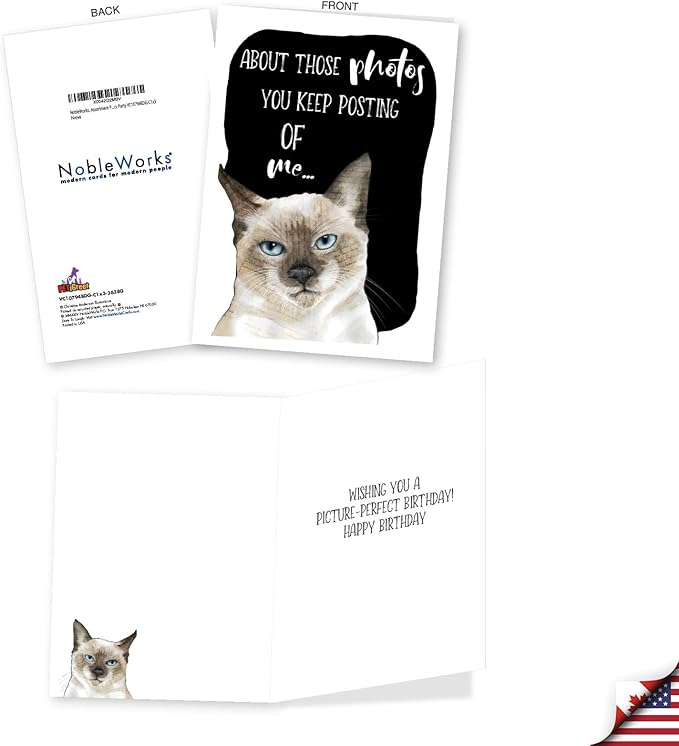 NobleWorks, Assortment Pack of 3 Funny Birthday Greeting Cards with Envelopes (3 Designs, 1 Each) Cat Antics Party VC10794BDG-C1x3