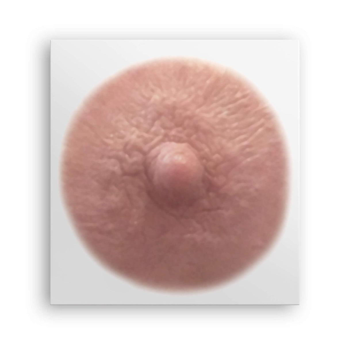 TataTattoos Temporary Realistic Nipple/Areola Tattoos – Non-Surgical for Mastectomy Recovery – for Post Breast Cancer Surgery (Auburn, Medium (Pack of 20))