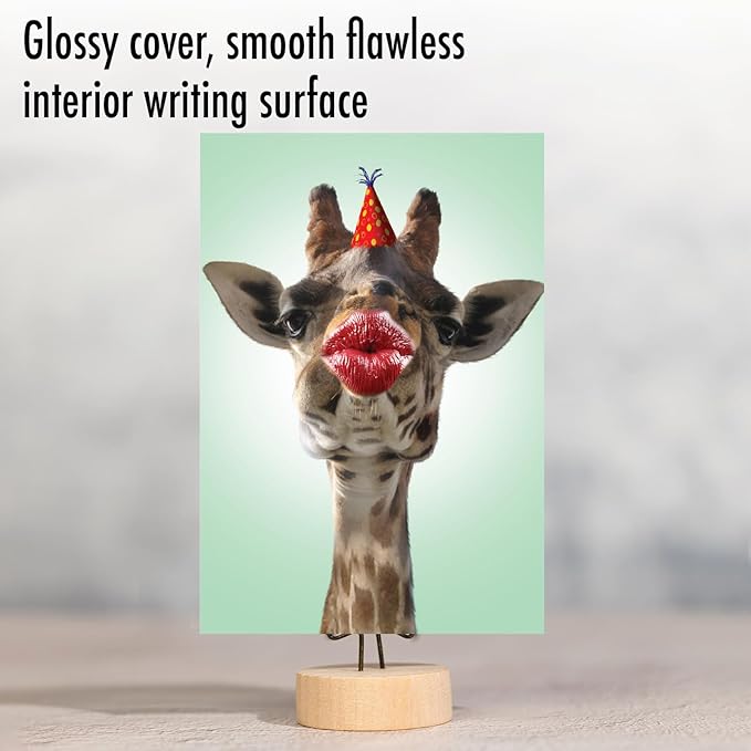 The Best Card Company - 1 Happy Birthday Greeting Card - Adorable Animals, Cute Bday Notecard with Envelope - Wild Kisses Giraffe C9280ABDG