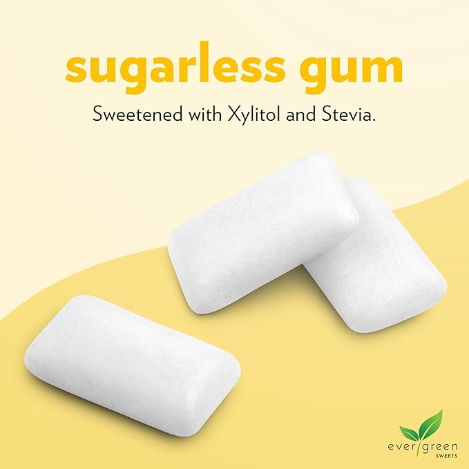 Evergreen Sweets Chewing gum -100 Pieces Jar - Natural Tropical Fruit Gum Made with Xylitol and Stevia - Sugar-Free, Aspartame Free and Vegan