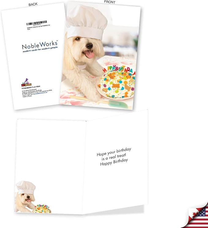 NobleWorks Assorted 3 Pack of Hilarious Dog Themed Birthday Greeting Cards with 5 x 7 Inch Envelopes (3 Designs, 1 Each) Party Pups VC2804BDG-C1x3