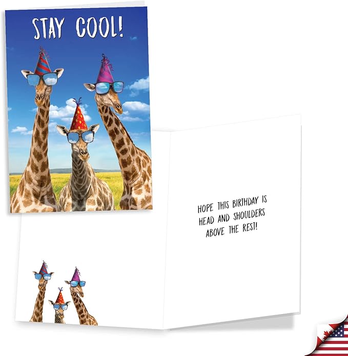 NobleWorks Assorted 3 Pack of Funny Feisty Animal Birthday Greeting Cards with 5 x 7 Inch Envelopes (3 Designs, 1 Each) Three's a Comedy VC9270BDG-C1x3