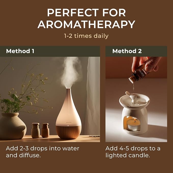 Gya Labs Allspice Essential Oil - 0.34 Fl Oz - for Hair, Skin, Diffuser, Aromatherapy & DIY Candle Making Scent