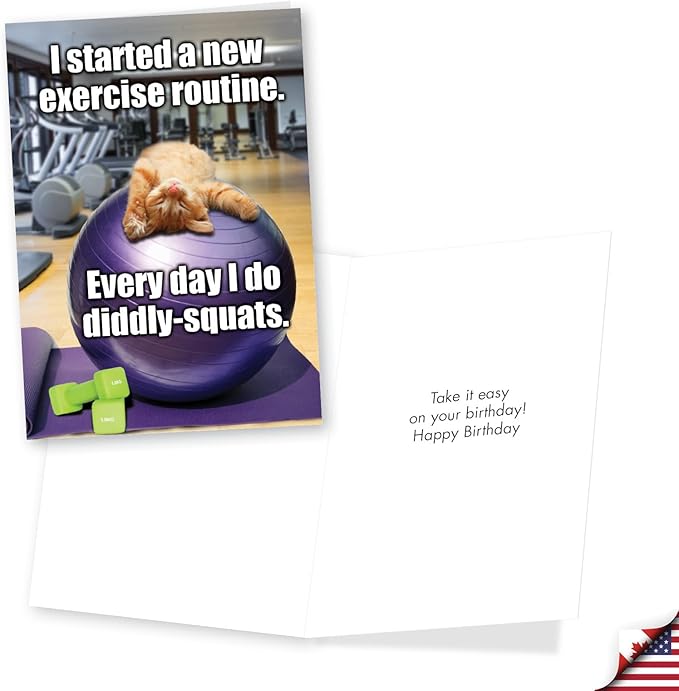 NobleWorks Assortment Pack of 3 Hysterical Birthday Greeting Cards with Envelopes for Men and Women (3 Designs, 1 Each) Kitten Fitness VC10012BDG-C1x3
