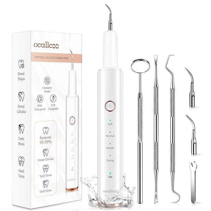 Plaque Remover for Teeth, Electric Tooth Cleaner Tartar Remover for Teeth with LED Light,4 Modes Rechargeable Teeth Cleaning Kit with Dental Tools, 2 Replaceable Heads (White A)
