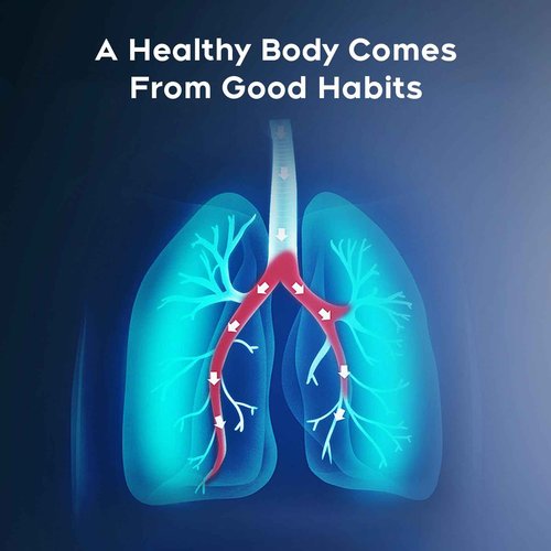 Quit Smoking with Elegance,Natural Woody Smokeless Inhalers,A Refreshing Alternative,Natural Plant Extract, Upgraded Version-JY01