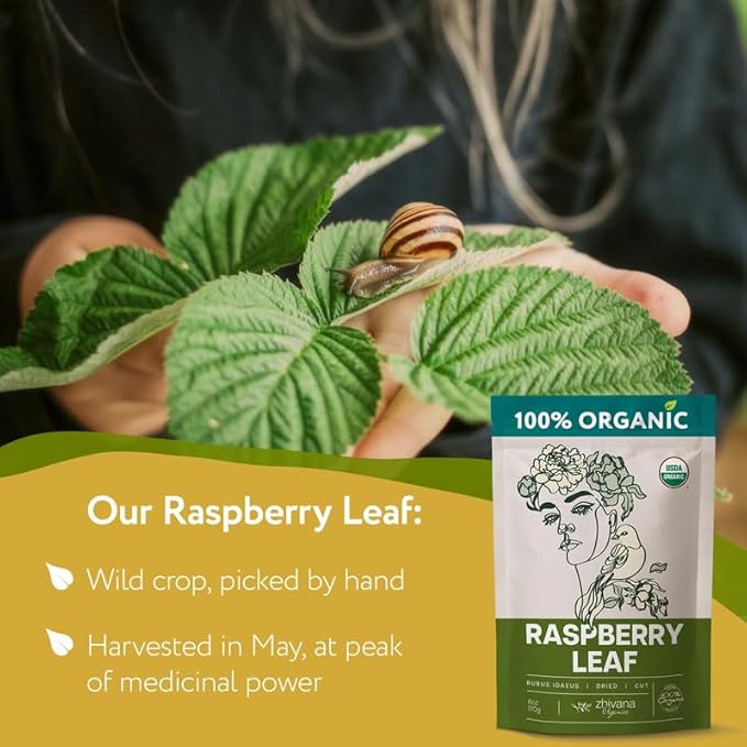 Organic Red Raspberry Leaf Tea – Wild Raspberry Tea for for Pregnancy, Healthy Cycle, Menstrual Cramps – 6oz