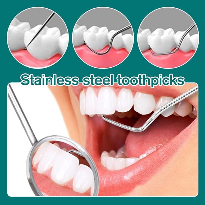 Stainless Steel Toothpick Set, Reusable Metal Toothpicks Cleaning Kit with Holder, Dental Picks Metal Dental Kit Oral Care Tools Toothpicks Pocket Set for Outdoor Picnic Camping Traveling (2 Set -A)