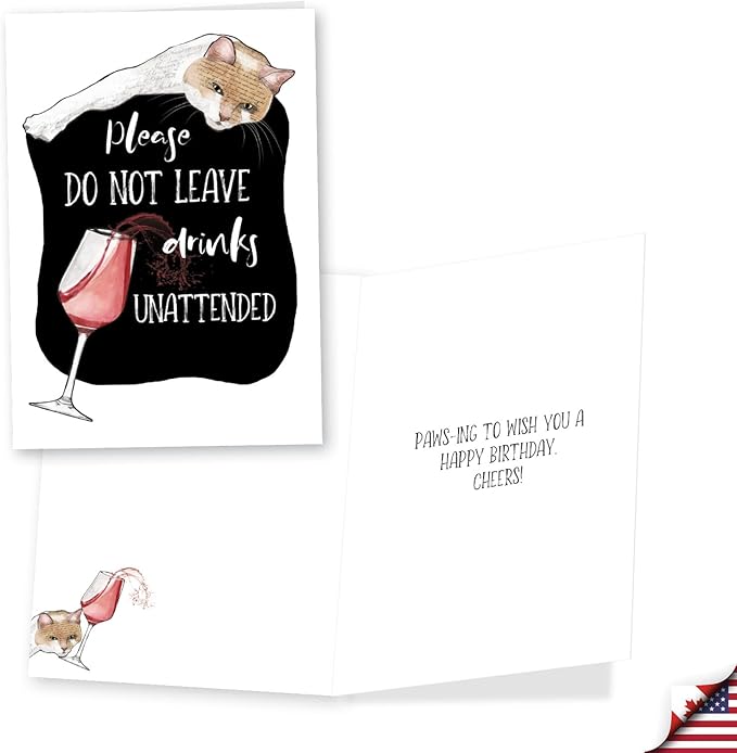 NobleWorks, Assortment Pack of 3 Funny Birthday Greeting Cards with Envelopes (3 Designs, 1 Each) Cat Antics Party VC10794BDG-C1x3