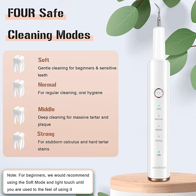Plaque Remover for Teeth, Electric Tooth Cleaner Tartar Remover for Teeth with LED Light,4 Modes Rechargeable Teeth Cleaning Kit with Dental Tools, 2 Replaceable Heads (White A)