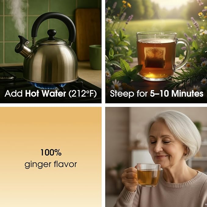 TeaDreamTea Ginger Tea Bags - 100 Bleach-Free Tea Bags | Caffeine Free, Antioxidant, Calms Upset Stomach - Strengthen Immune System - Herbal Ginger Tea