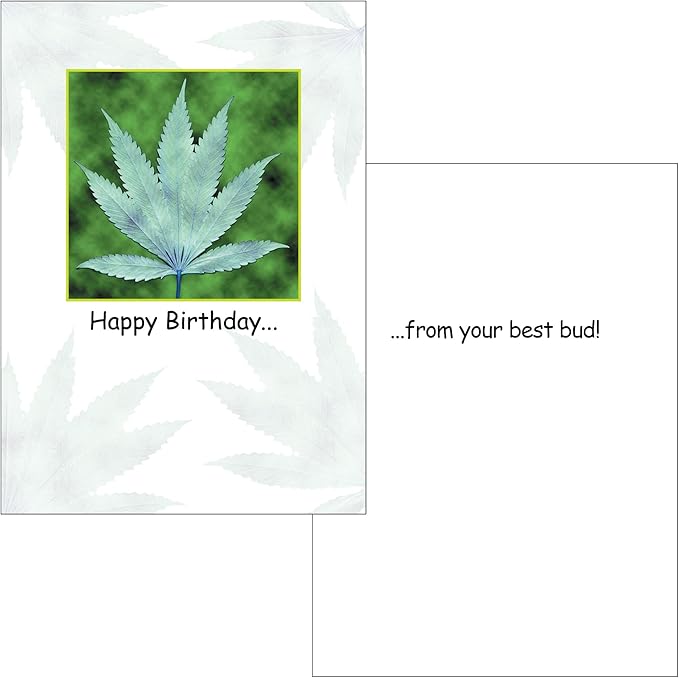Funny Stoner Birthday Card Assortment (5x7) 4 Card Set by Smart Alex (Weed Gift Designs)