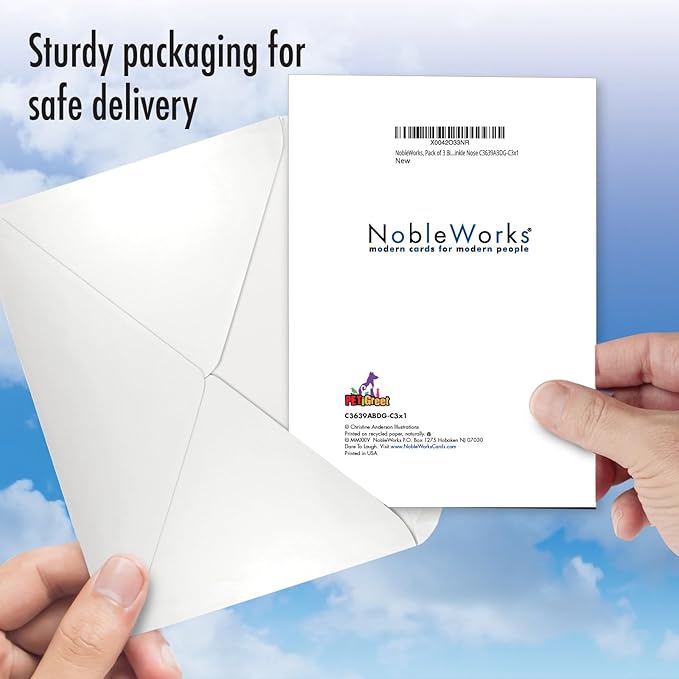 NobleWorks, Pack of 3 Birthday Greeting Cards with Envelopes (1 Design, 3 Each) Dog Antics - Sprinkle Nose C3639ABDG-C3x1