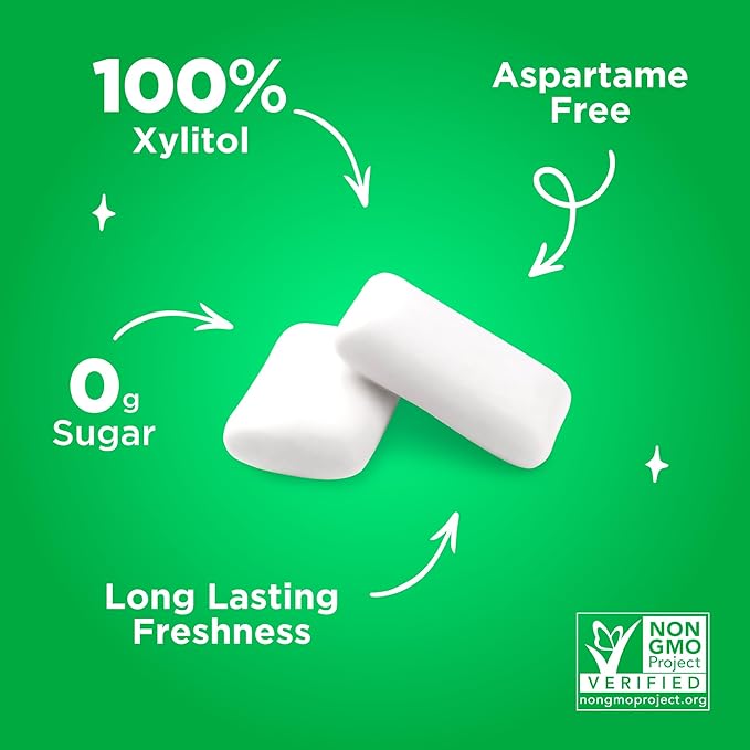 PUR Gum | Aspartame Free Chewing Gum | 100% Xylitol | Natural Spearmint Flavored Gum, 55 Pieces (Pack of 12)