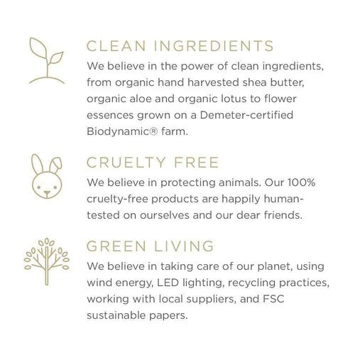 ZENTS Body Wash and Lotion Set (Sun), Aloe Moisture Body Wash, Age Defying Probiotic Lotion to Cleanse, Moisturize and Nourish Dry Skin