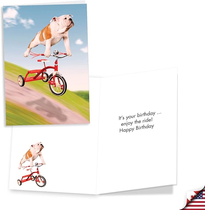 NobleWorks Assorted 3 Pack of Hilarious Dog Themed Birthday Greeting Cards with 5 x 7 Inch Envelopes (3 Designs, 1 Each) Party Pups VC2804BDG-C1x3