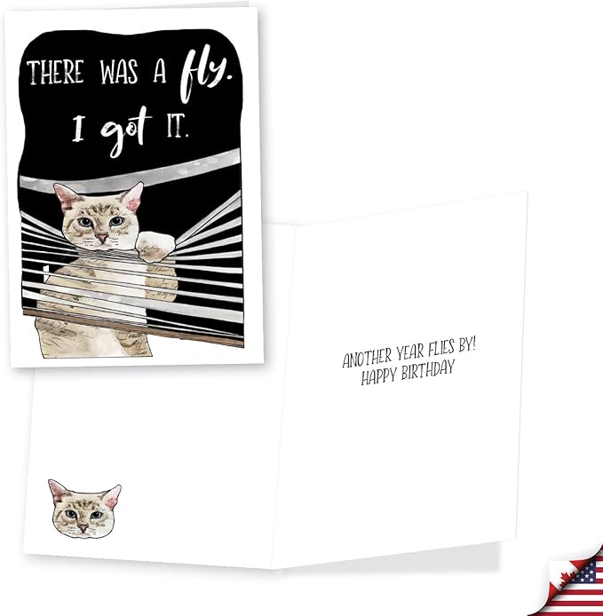 NobleWorks, Assortment Pack of 3 Funny Birthday Greeting Cards with Envelopes (3 Designs, 1 Each) Cat Antics Celebration VC10793BDG-C1x3