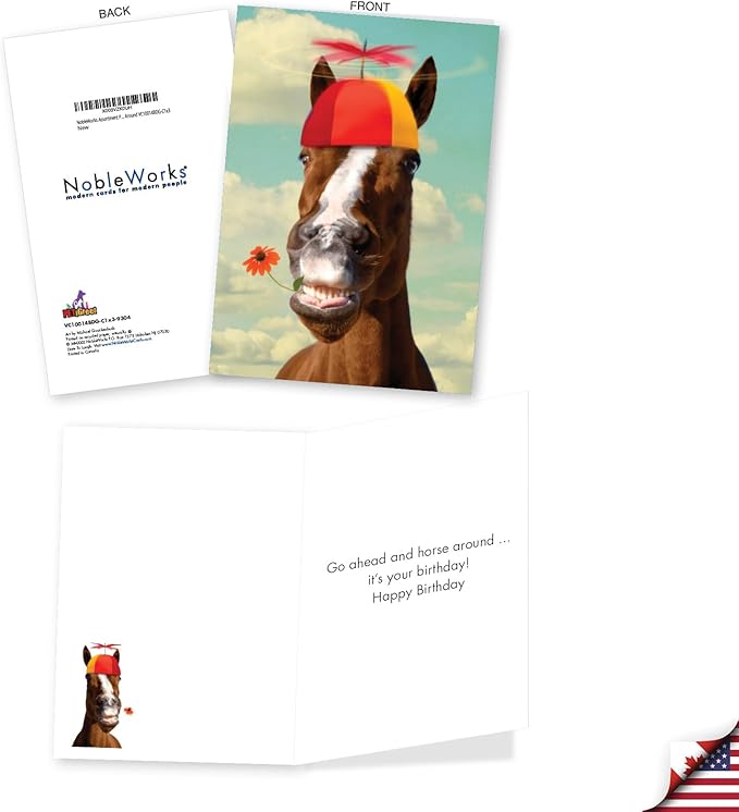 NobleWorks Assortment Pack of 3 Hysterical Birthday Greeting Cards with Envelopes for Men and Women (3 Designs, 1 Each) Horsing Around VC10014BDG-C1x3