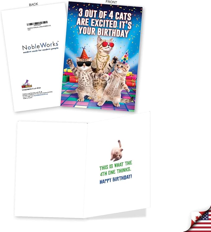 NobleWorks Assorted 3 Pack of Humorous Cool Cats Birthday Greeting Cards with 5 x 7 Inch Envelopes (3 Designs, 1 Each) Funny Felines VC2809BDG-C1x3
