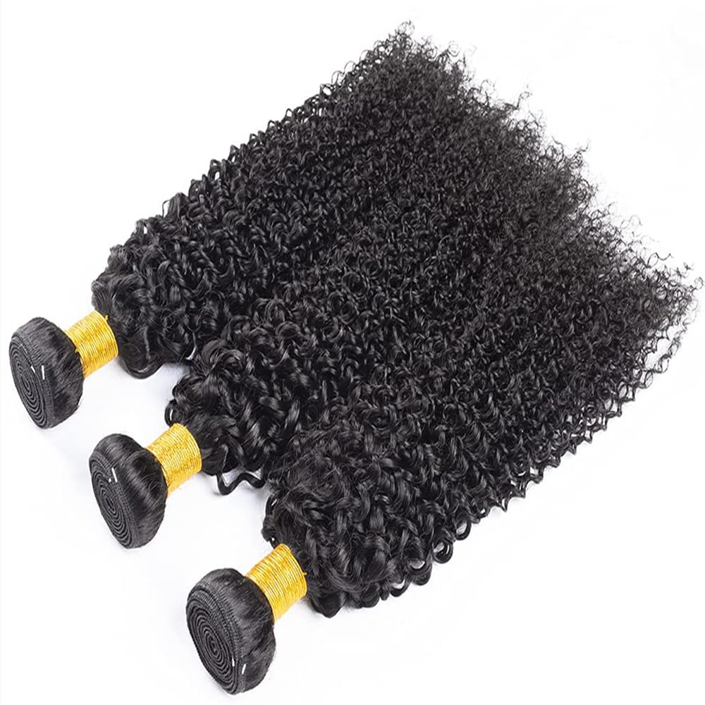 Ladiaryf Kinky Curly Human Hair Bundles Long Brazilian Virgin Curly Weave Bundles Human Hair 100% Unprocessed Double Weft Natural Black Color Can Be Dyed 100g 20 Inch