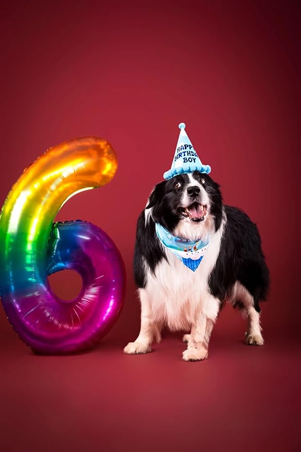 Rainbow Number 8 Balloon 40 Inch Rainbow 8 Balloon Giant Helium Foil Number 0 to 9 Balloons Birthday Wedding Party Digital Decorations Number 8