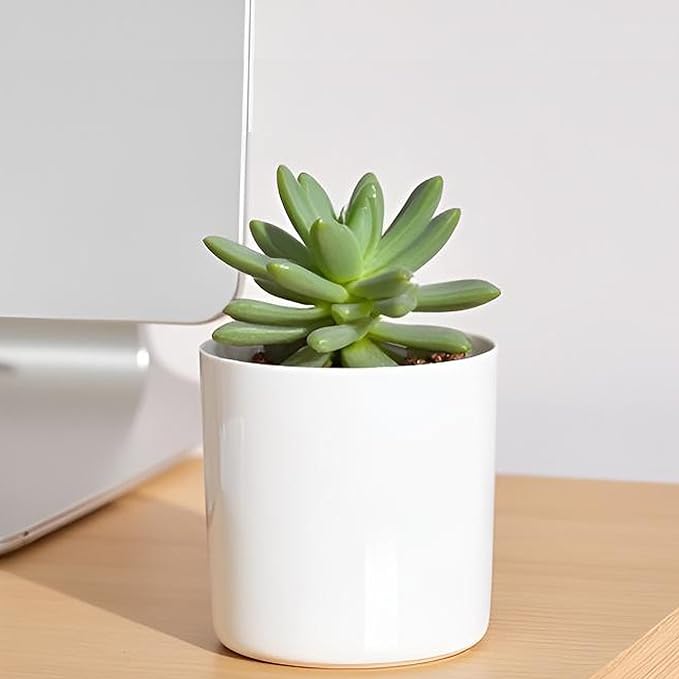 Toothbrush Holder for Men,White Ceramic Toothbrush Cup Storage on Bathroom Countertop,Sturdy and Durable,Never Fade(H 3.93'' *W 3.54''