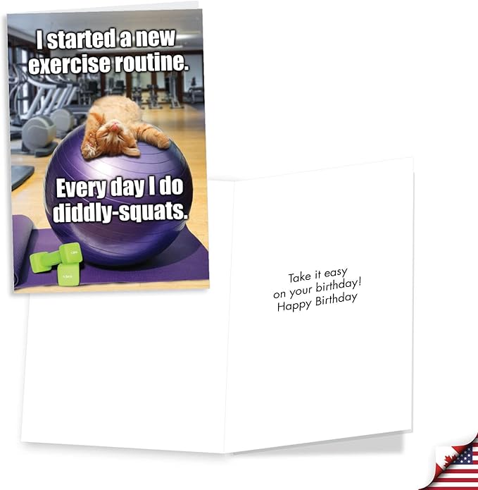 NobleWorks Assorted 3 Pack of Humorous Cool Cats Birthday Greeting Cards with 5 x 7 Inch Envelopes (3 Designs, 1 Each) Funny Felines VC2809BDG-C1x3