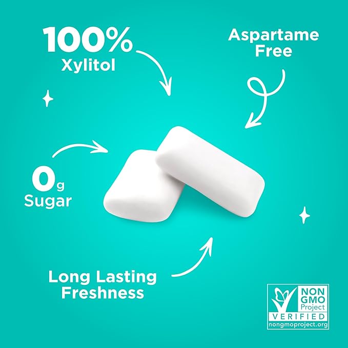 PUR Gum | Aspartame Free Chewing Gum | 100% Xylitol | Natural Wintergreen Flavored Gum, 55 Pieces (Pack of 12)