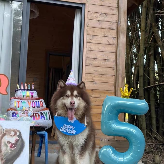 Blue Number 8 Balloon with Crown, 40 inch Blue Number Balloon 8th Birthday Party Decoration BlueCrown Balloons 0-9 for Birthday Party Anniversary Decorations Supplies