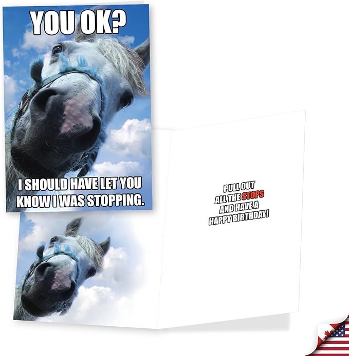 NobleWorks Assortment Pack of 3 Hysterical Birthday Greeting Cards with Envelopes for Men and Women (3 Designs, 1 Each) Horsing Around VC10014BDG-C1x3