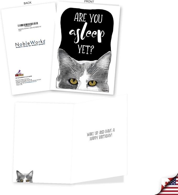 NobleWorks, Assortment Pack of 3 Funny Birthday Greeting Cards with Envelopes (3 Designs, 1 Each) Cat Antics Celebration VC10793BDG-C1x3