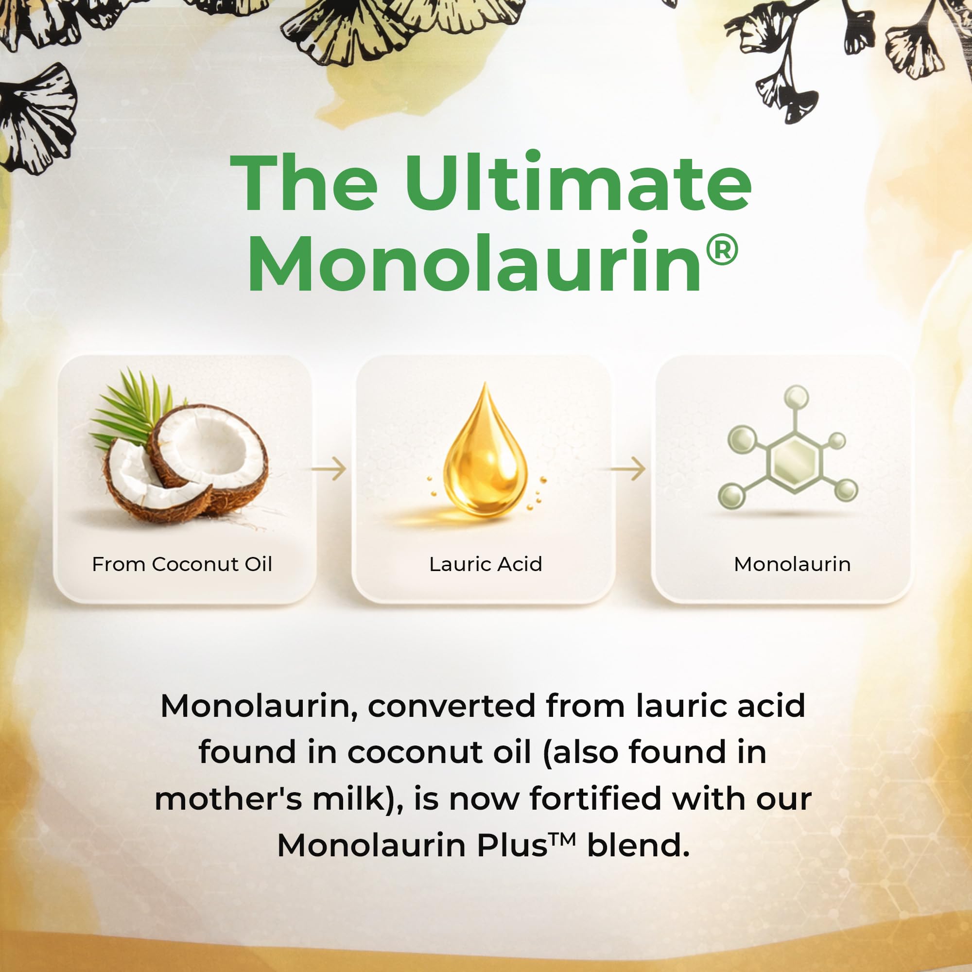 UltraLaurin® Monolaurin Supplement – 3,000 mg Coconut-Derived Pellets for Immune & Gut Health Support, Digestive Wellness – 7 oz - 66 Servings – Vegan, Non-GMO, Natural Immune & Digestive Support