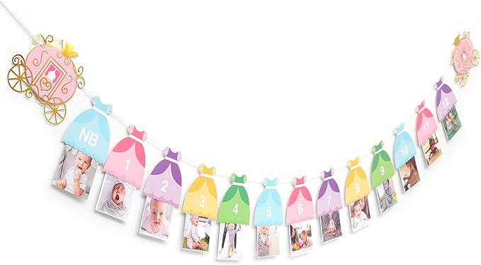 Princess 12 Month Photo Banner - Princess Birthday Party Decorations,Gril First/1st Party Bunting,Photo Prop Banner (Princess-2)