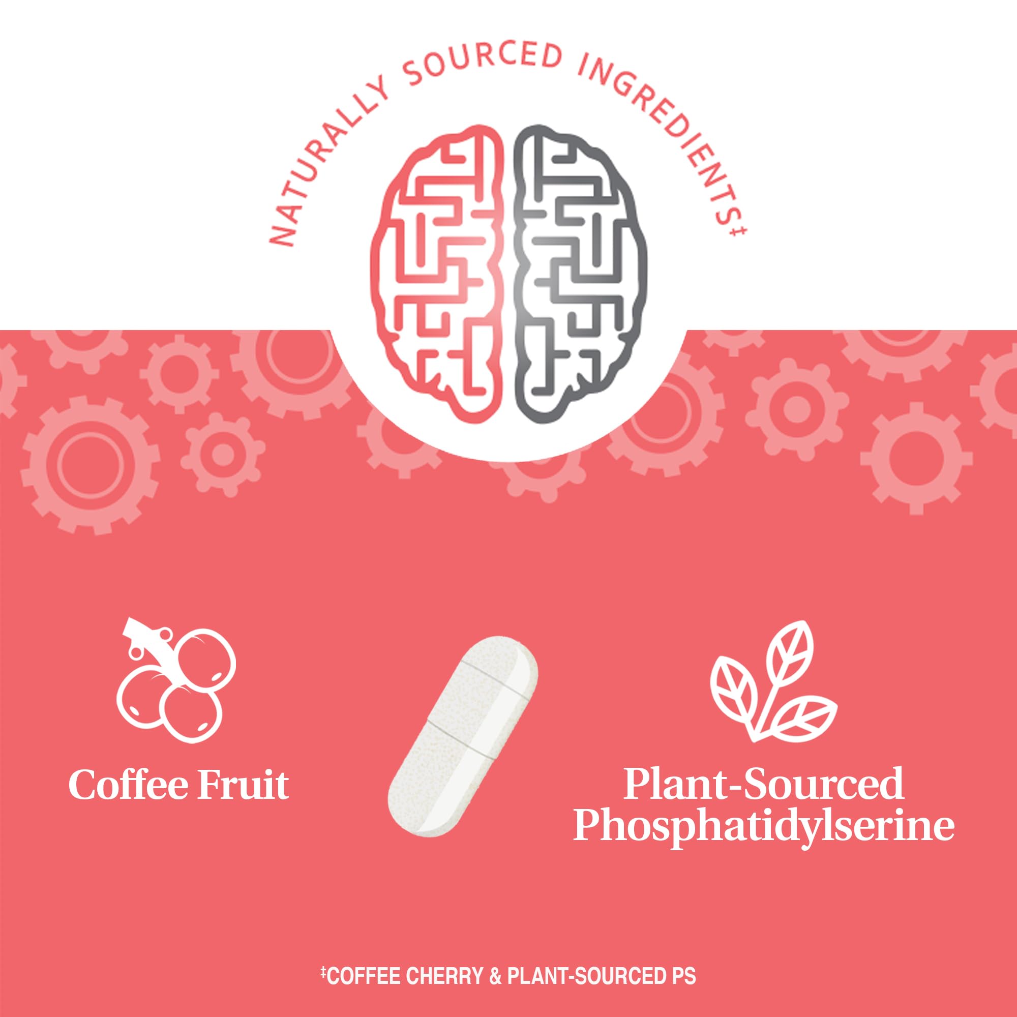 21st Century Brilliant Brain Performance Capsules, (30 Count), Cognitive Health Support, Contains Plant-Sourced Phosphatidylserine & Nootropic Coffee Fruit Extract, Decaf & Gluten Free