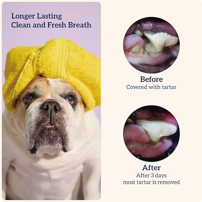 Groovies Slightly Softer, Yet Flexible Dental Chew for Senior Dogs & Delicate Chewers. Powered by USA-Patented DentalFit Tech. No Added Gluten, No Artificial Flavors or Colors. 6oz Large (6Chews)