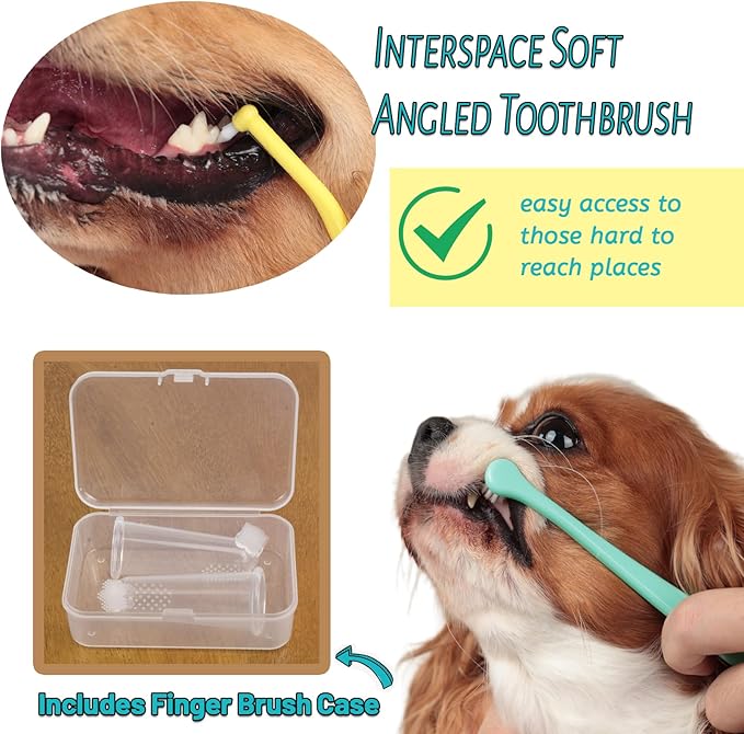 E.M&S.T by Emmeliestella Small Dog & Cat Toothbrush Kit，Micro Head, Kitten Toothbrush, Finger Brush, Starter Kit, Round & Pointed Design, Pet Dental Care, Soft Bristles, Multi-Angle, Deep Clean, 5PCS