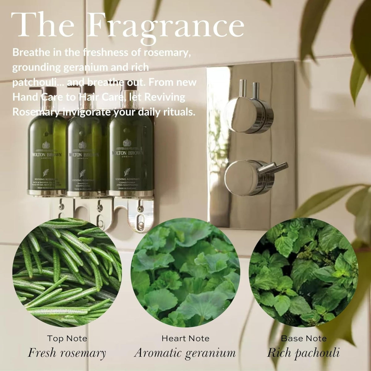 Molton Brown Reviving Rosemary Body Lotion 10 fl. oz.