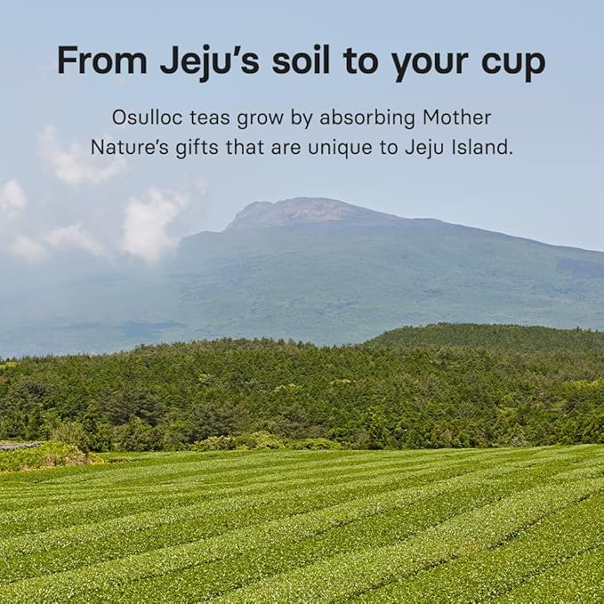 Osulloc Marron Glacé Black Tea, Roasted Chestnut Flavored, Sweet & Elegant Black Tea, Premium Tea Bags from Jeju Island, 20 count, 1.41oz