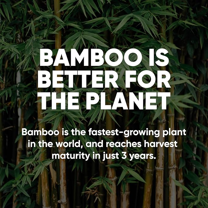 Save Trees Bamboo Toilet Paper -80 Rolls Of Septic Safe Organic Toilet Paper - 3-ply, 300 Sheets Per Roll - PFAs Free, FSC Certified, Plastic & Chemical Free -For Home, Boat& RV Use