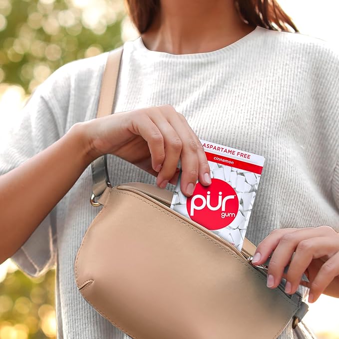 PUR Gum | Aspartame Free Chewing Gum | 100% Xylitol | Natural Cinnamon Flavored Gum, 55 Pieces (Pack of 12)