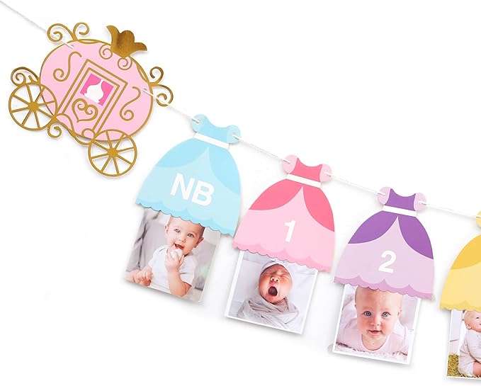 Princess 12 Month Photo Banner - Princess Birthday Party Decorations,Gril First/1st Party Bunting,Photo Prop Banner (Princess-2)