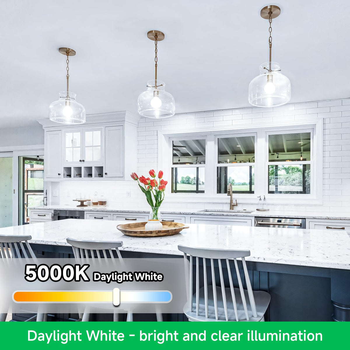 MAXvolador 12-Pack A19 LED Light Bulbs, 100 Watt Equivalent LED Bulb, 5000K Daylight White, 1100 Lumens, E26 Medium Base, CRI 85+, Non-Dimmable