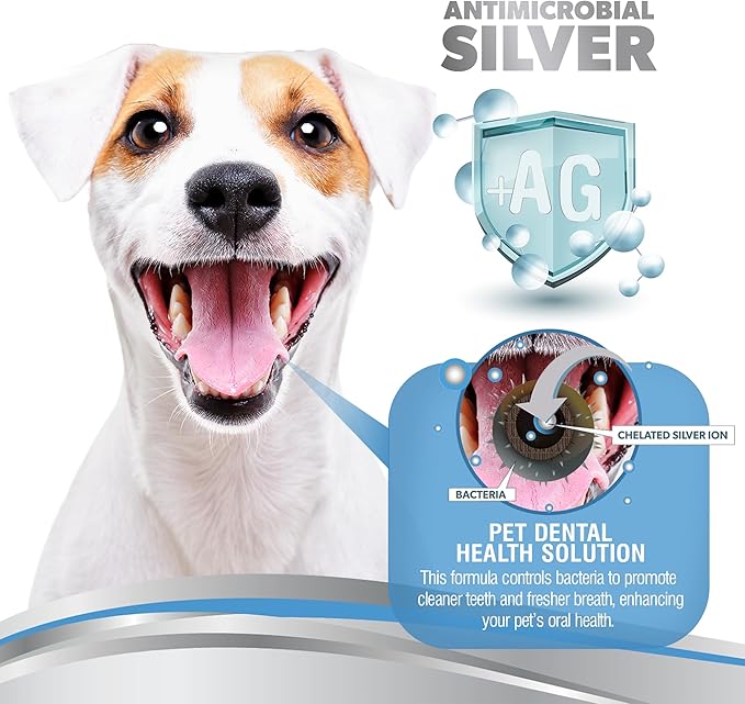 PetSilver Teeth & Gum Water Additive for Dental Care - Pet Breath Freshener - Targets Tartar, Plaque & Eliminates Bad Breath - Dog Oral Care & Cat Teeth Cleaning - No Brushing & Tasteless - 12 fl oz