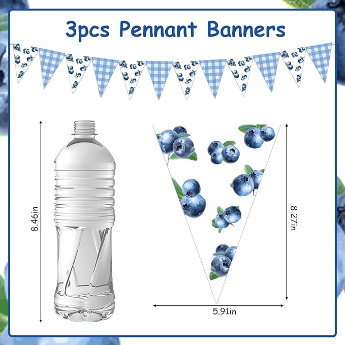 Jollyboom Blueberry Baby Shower Decorations, 3pcs Pennant Banner Triangle Garland Flags Paper Pre-Strung 8.3 x 5.9 inches for Baby Shower Birthday Party Blueberry Fruit Indoor Outdoor Party