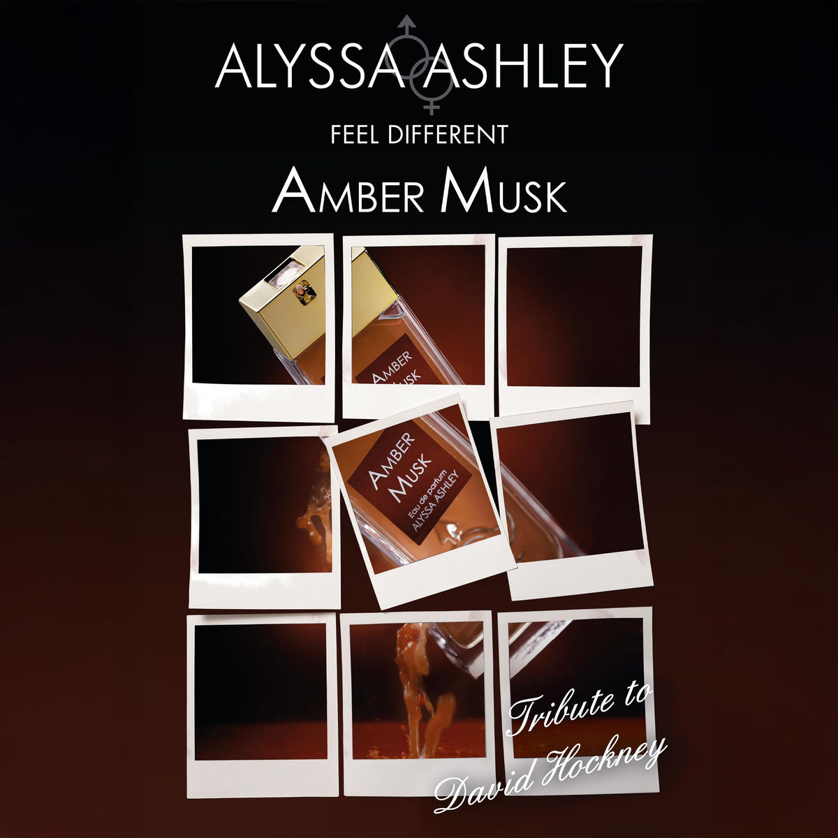 Alyssa Ashley Amber Musk - Cologne for Men - Perfume for Women - Jasmine, Iris, Benzoin, Amber, Vanilla, and Musk - Travel Perfume - 1.7 oz EDP Spray