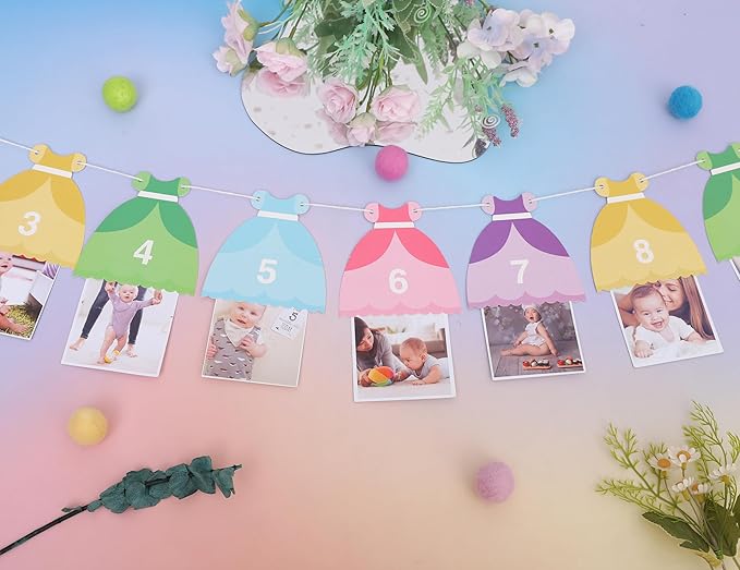 Princess 12 Month Photo Banner - Princess Birthday Party Decorations,Gril First/1st Party Bunting,Photo Prop Banner (Princess-2)