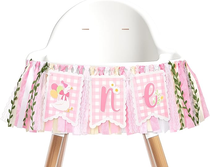 One Silly Goose High Chair Banner One High Chair Banner Girl Photo Backdrop First Birthday Decorations for Girl Wall Hanging Decorations for Kids Bedroom